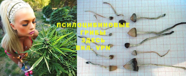 mdpv Балахна
