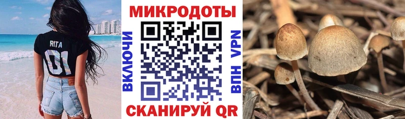 Псилоцибиновые грибы Magic Shrooms  МЕГА вход  Белорецк  купить наркотики сайты 